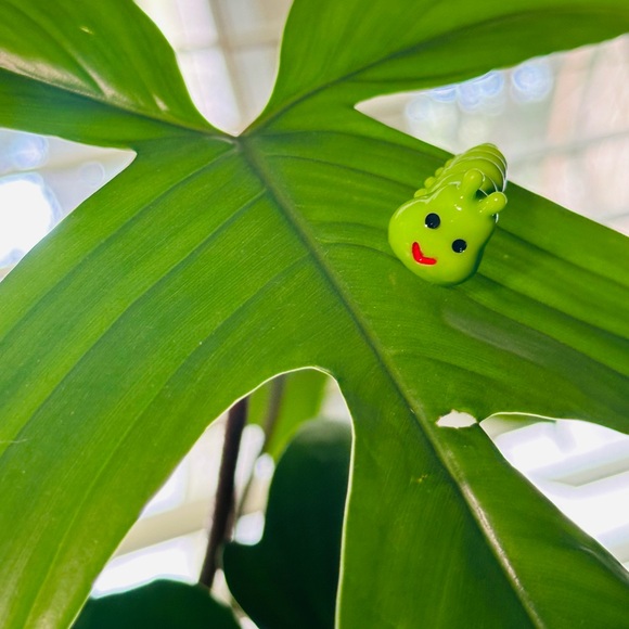 🍃30 pack of PetalPals plant Magnets🍃 - Picture 2 of 12